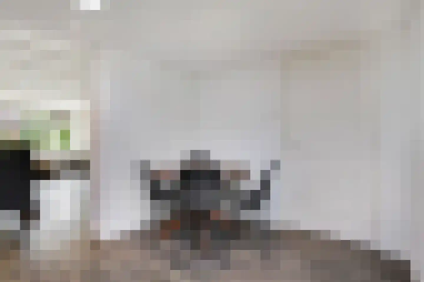 van den Berghweg 4 Didam thumbnail 27