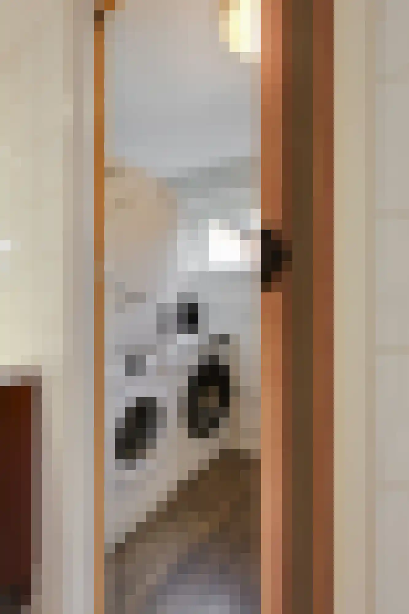 van den Berghweg 4 Didam thumbnail 31