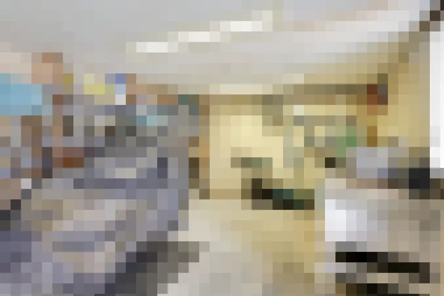 van den Berghweg 4 Didam thumbnail 40