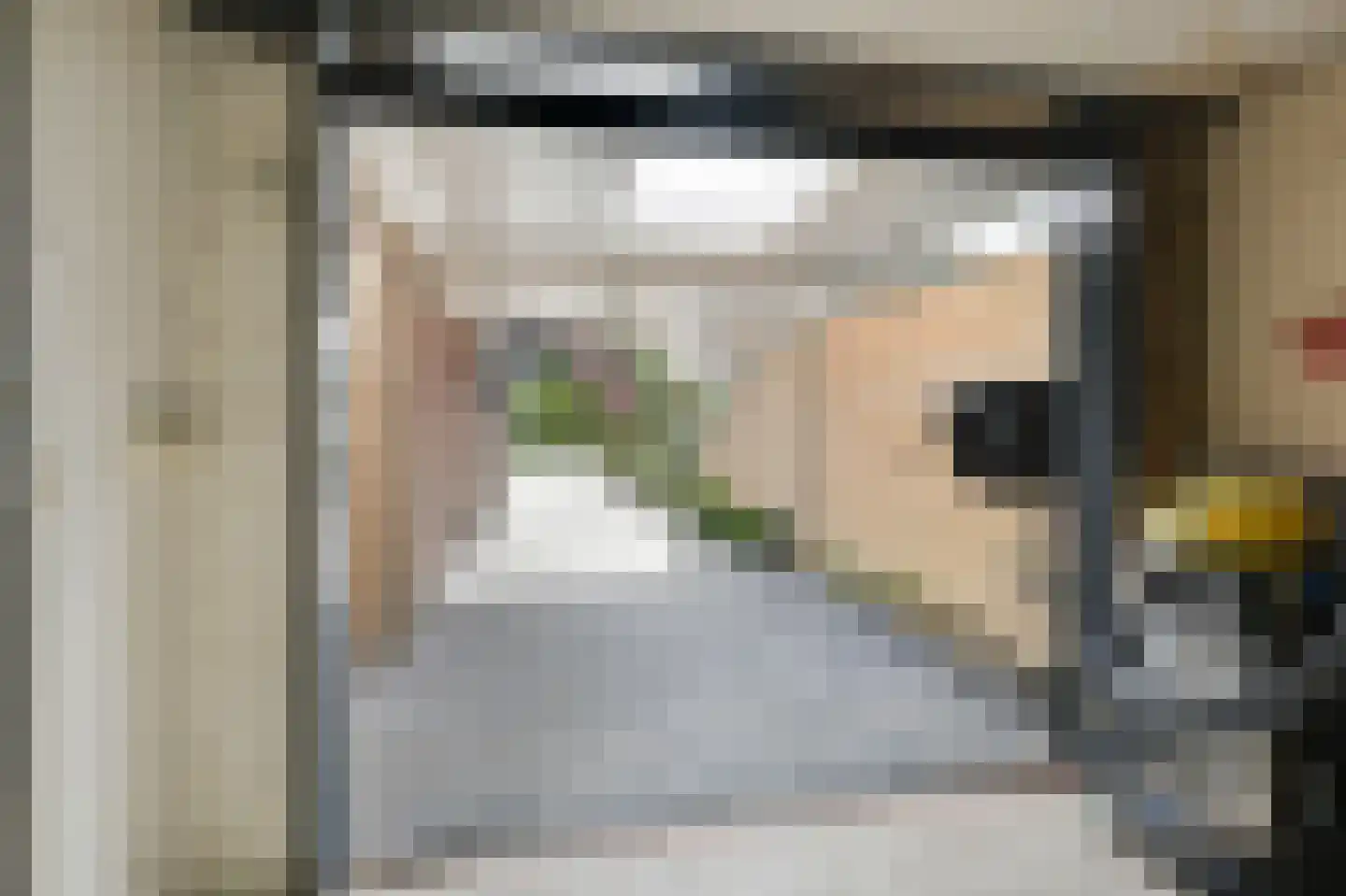 van den Berghweg 4 Didam thumbnail 41