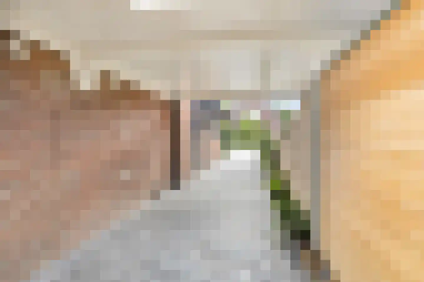 van den Berghweg 4 Didam thumbnail 42