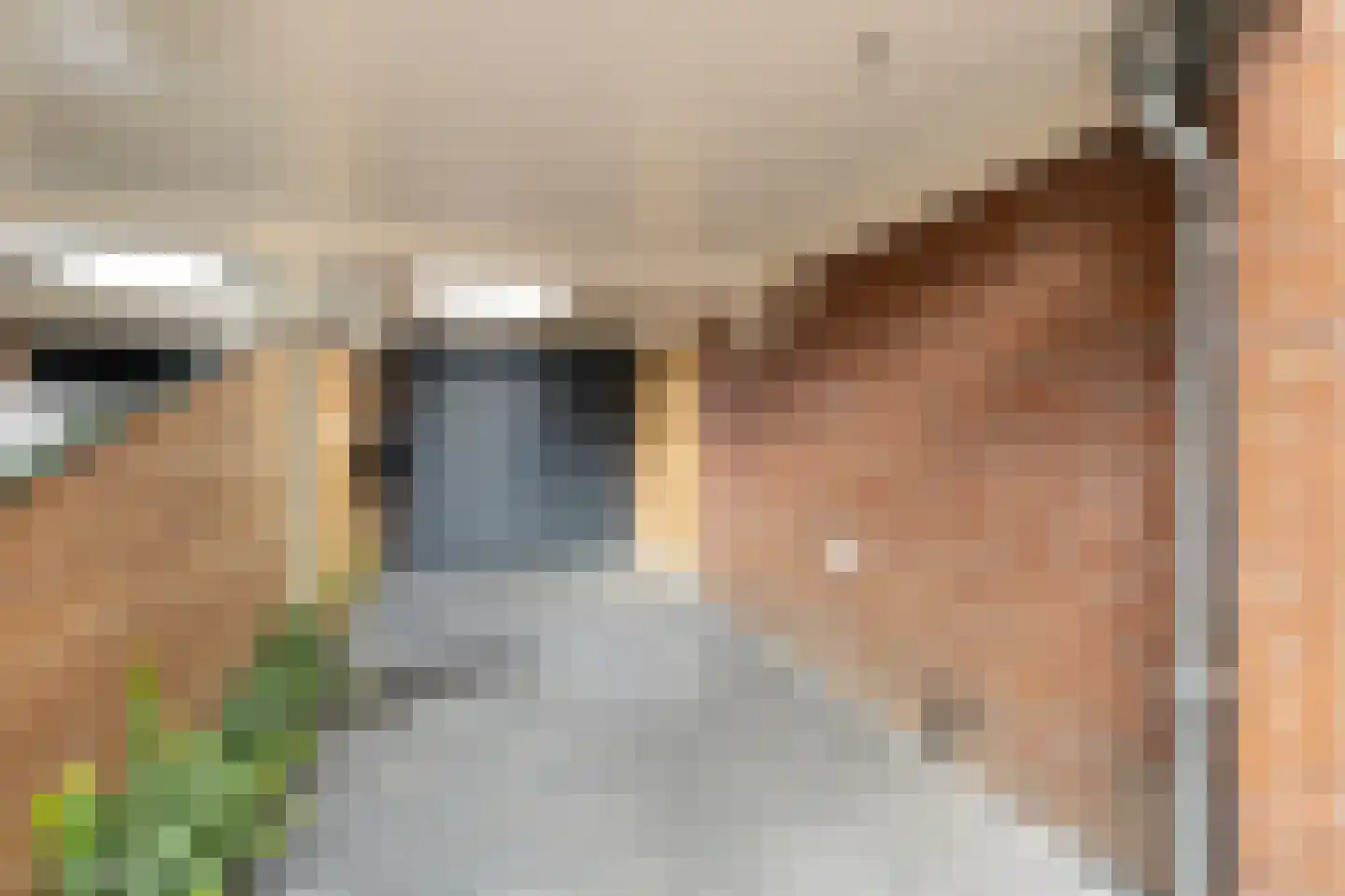 van den Berghweg 4 Didam thumbnail 43