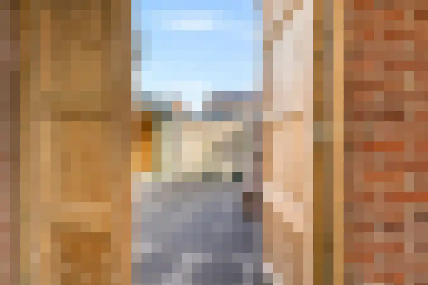 van den Berghweg 4 Didam thumbnail 44