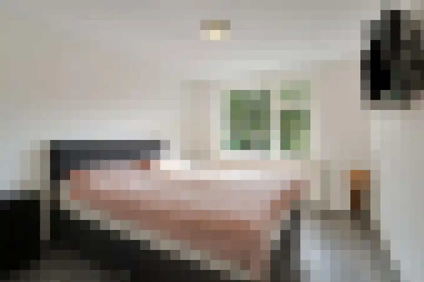 van den Berghweg 4 Didam thumbnail 47