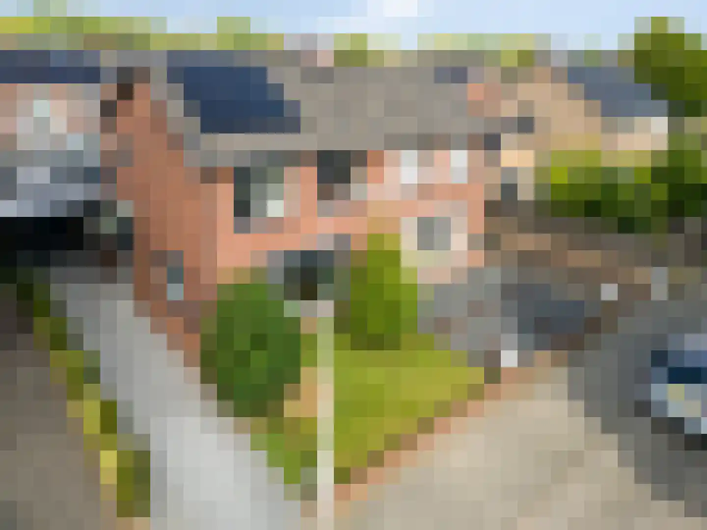van den Berghweg 4 Didam thumbnail 5