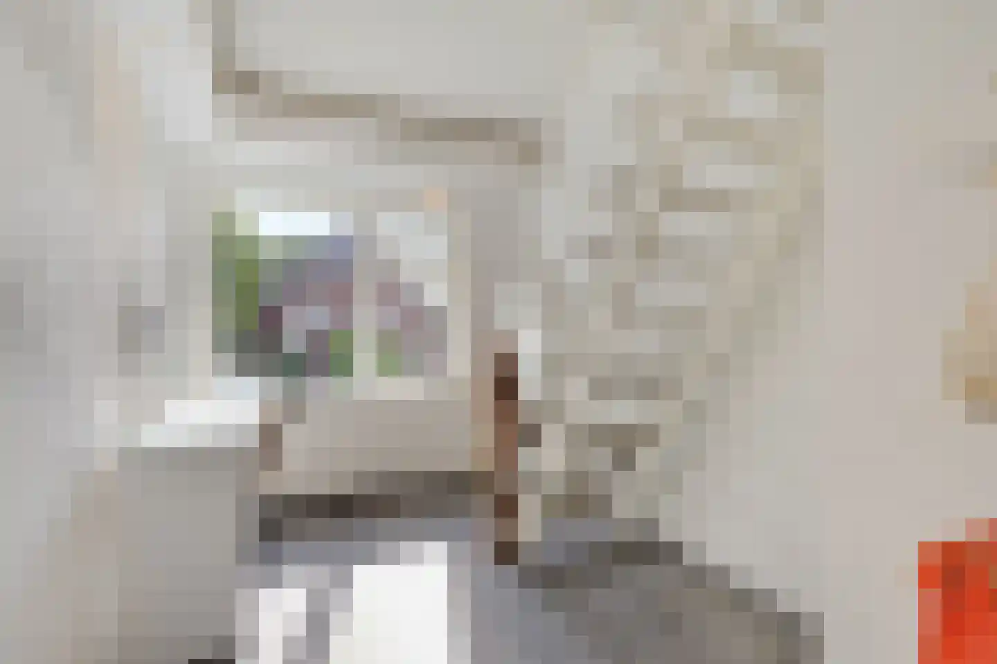 van den Berghweg 4 Didam thumbnail 53