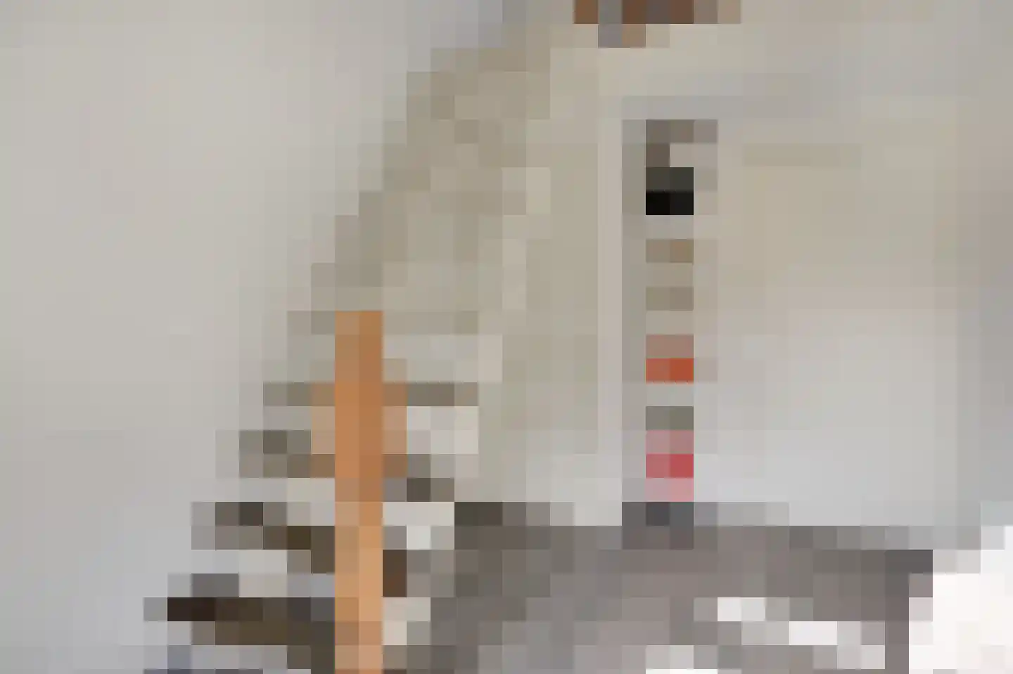 van den Berghweg 4 Didam thumbnail 54
