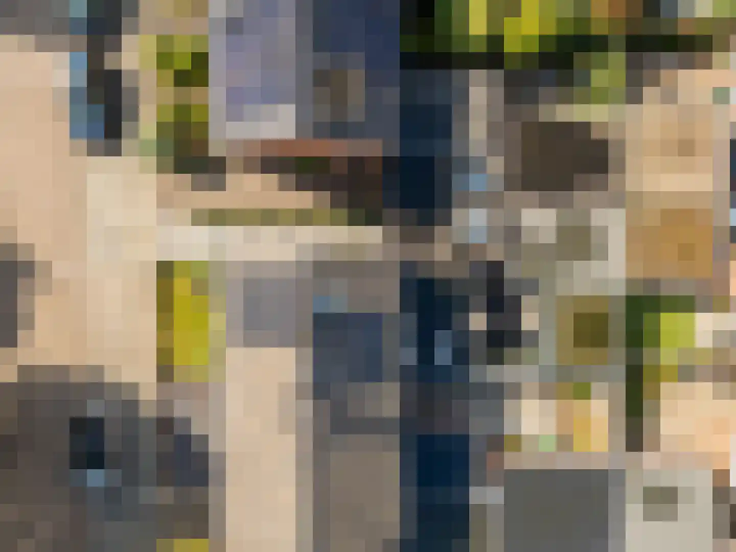 van den Berghweg 4 Didam thumbnail 57