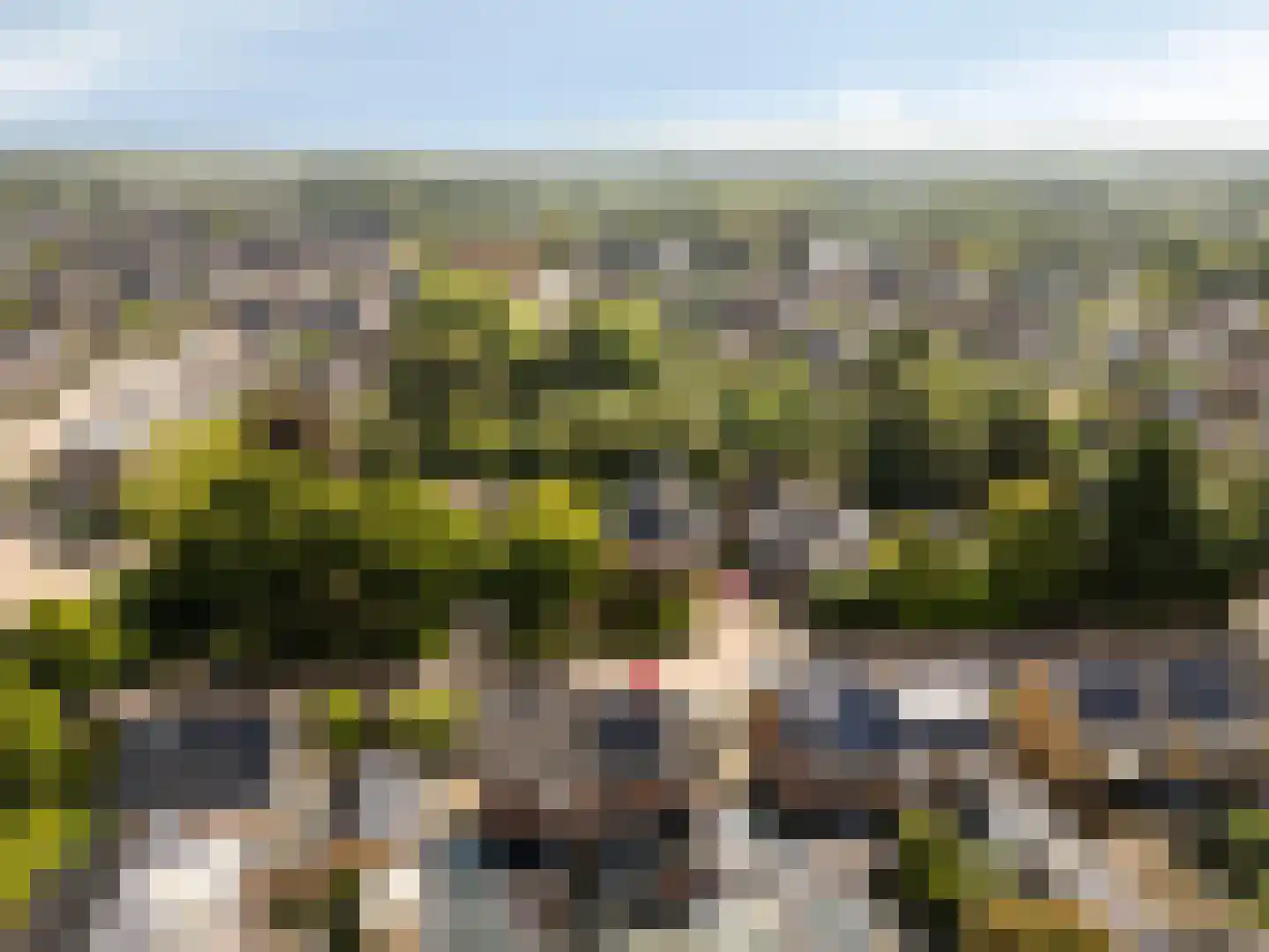 van den Berghweg 4 Didam thumbnail 7