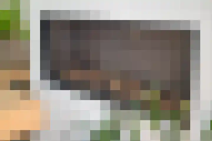 van den Berghweg 48 Didam thumbnail 11