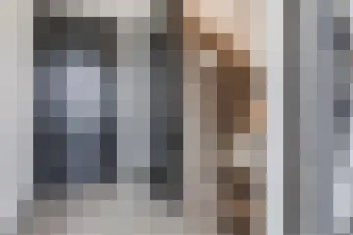 van den Berghweg 48 Didam thumbnail 16