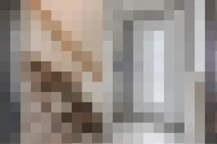 van den Berghweg 48 Didam thumbnail 17