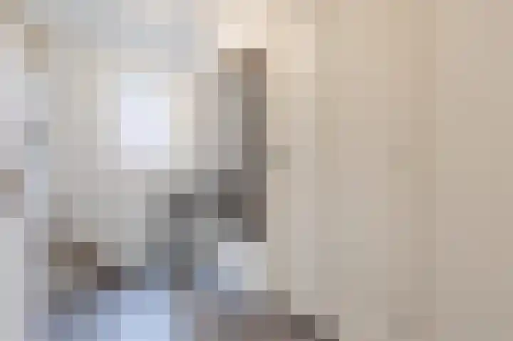 van den Berghweg 48 Didam thumbnail 19