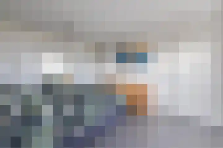 van den Berghweg 48 Didam thumbnail 21