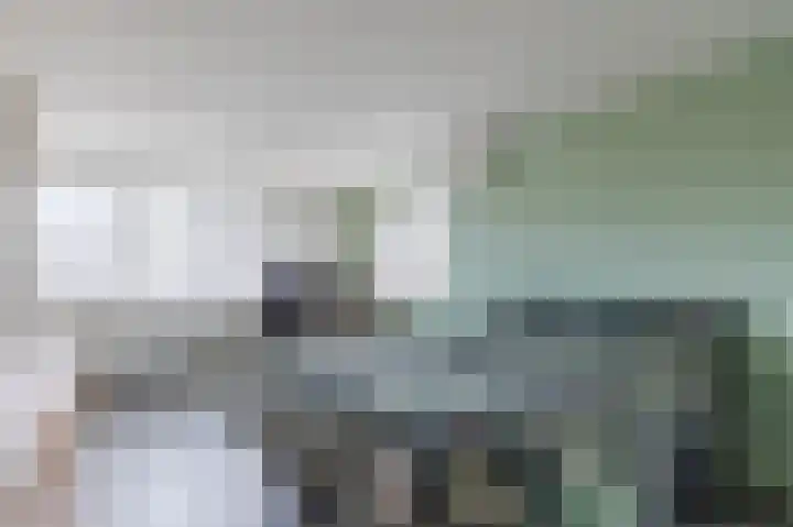 van den Berghweg 48 Didam thumbnail 22