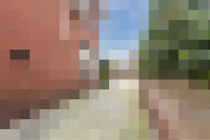 van den Berghweg 48 Didam thumbnail 4
