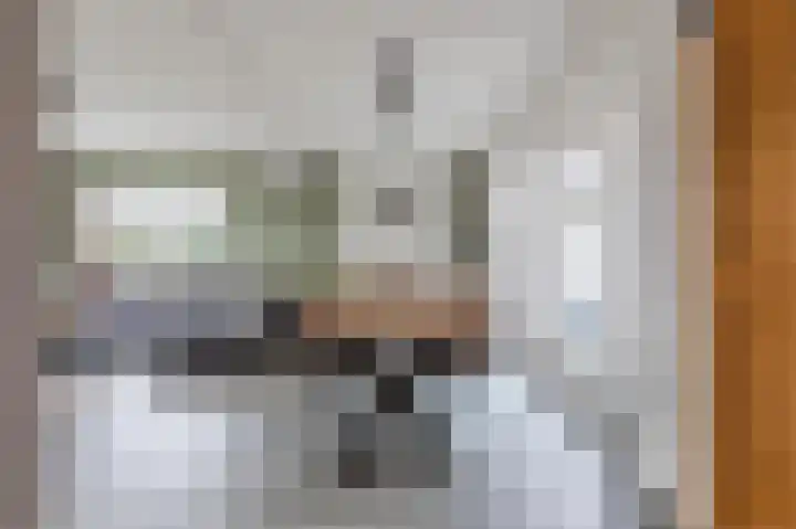 van den Berghweg 48 Didam thumbnail 9