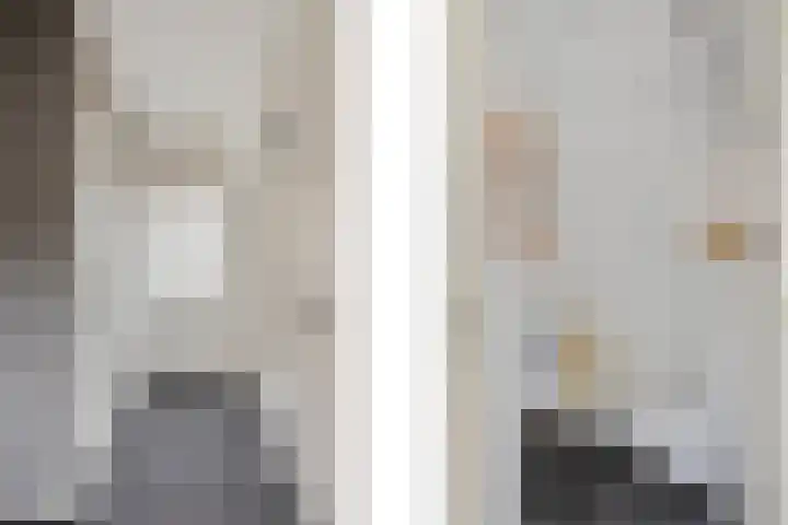van den Berghweg 8 Didam thumbnail 15