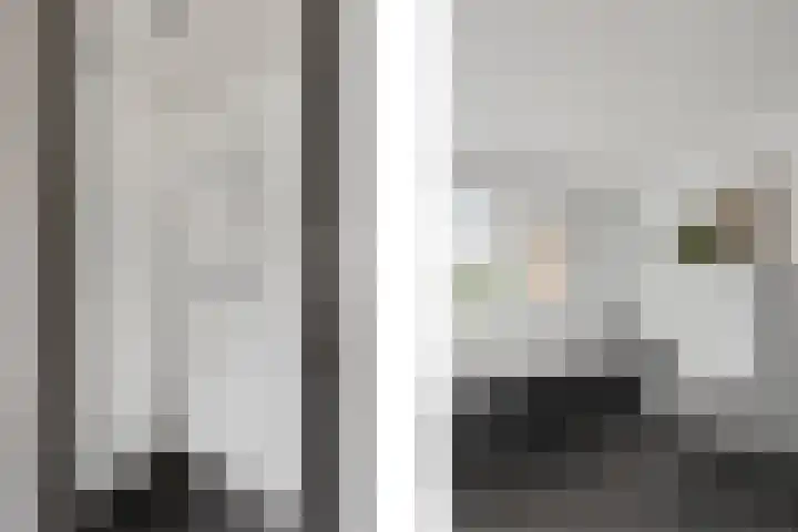 van den Berghweg 8 Didam thumbnail 21
