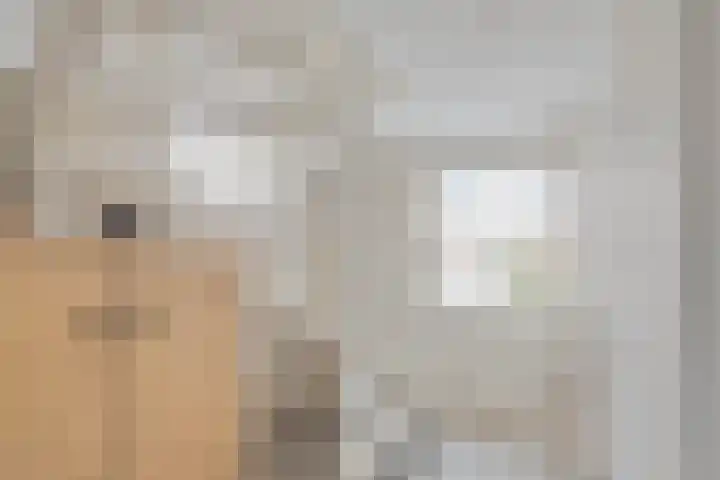 van den Berghweg 8 Didam thumbnail 22