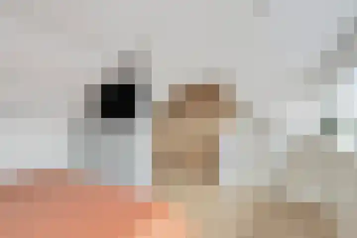 van den Berghweg 8 Didam thumbnail 24