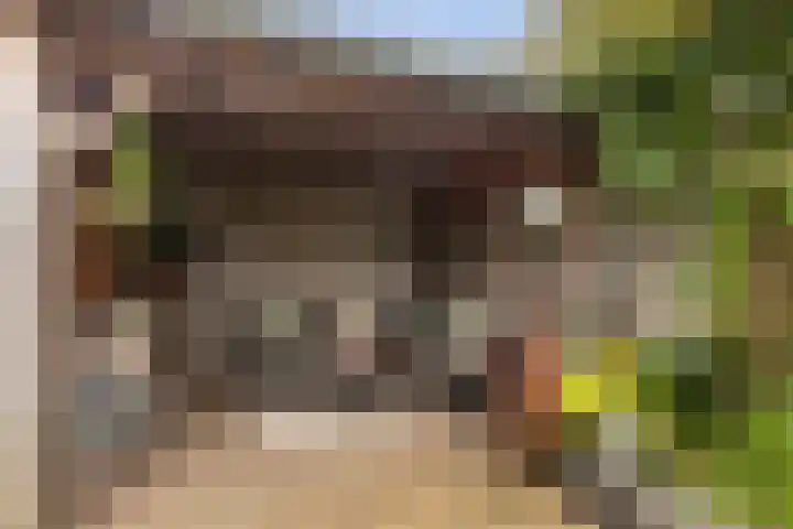 van den Berghweg 8 Didam thumbnail 27