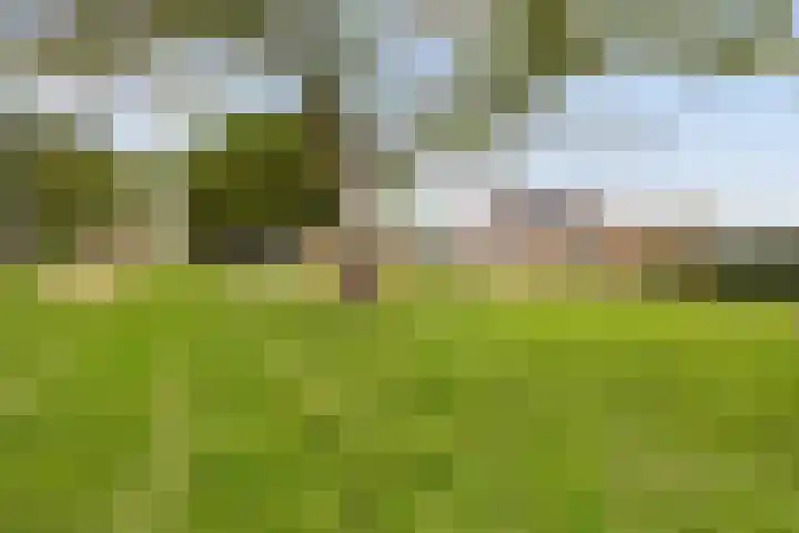 van den Berghweg 8 Didam thumbnail 30