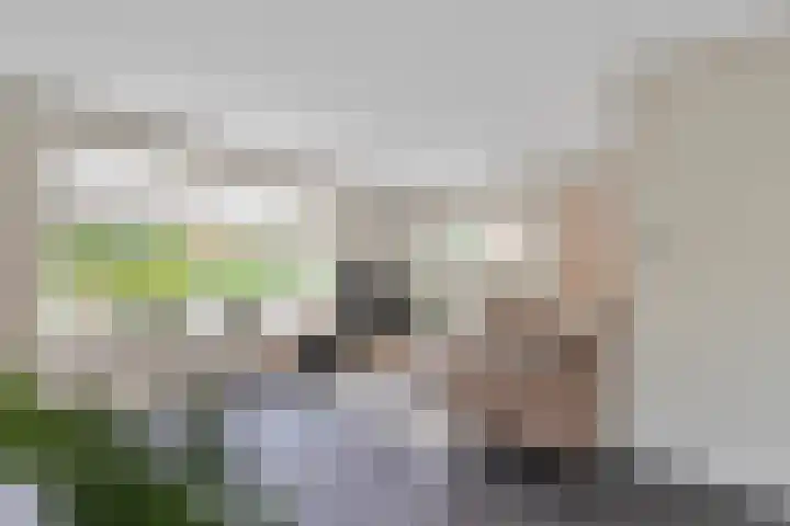 van den Berghweg 8 Didam thumbnail 5