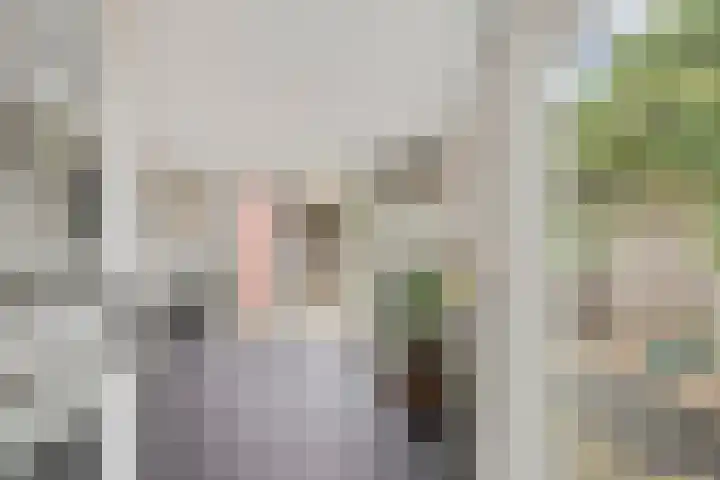 van den Berghweg 8 Didam thumbnail 9