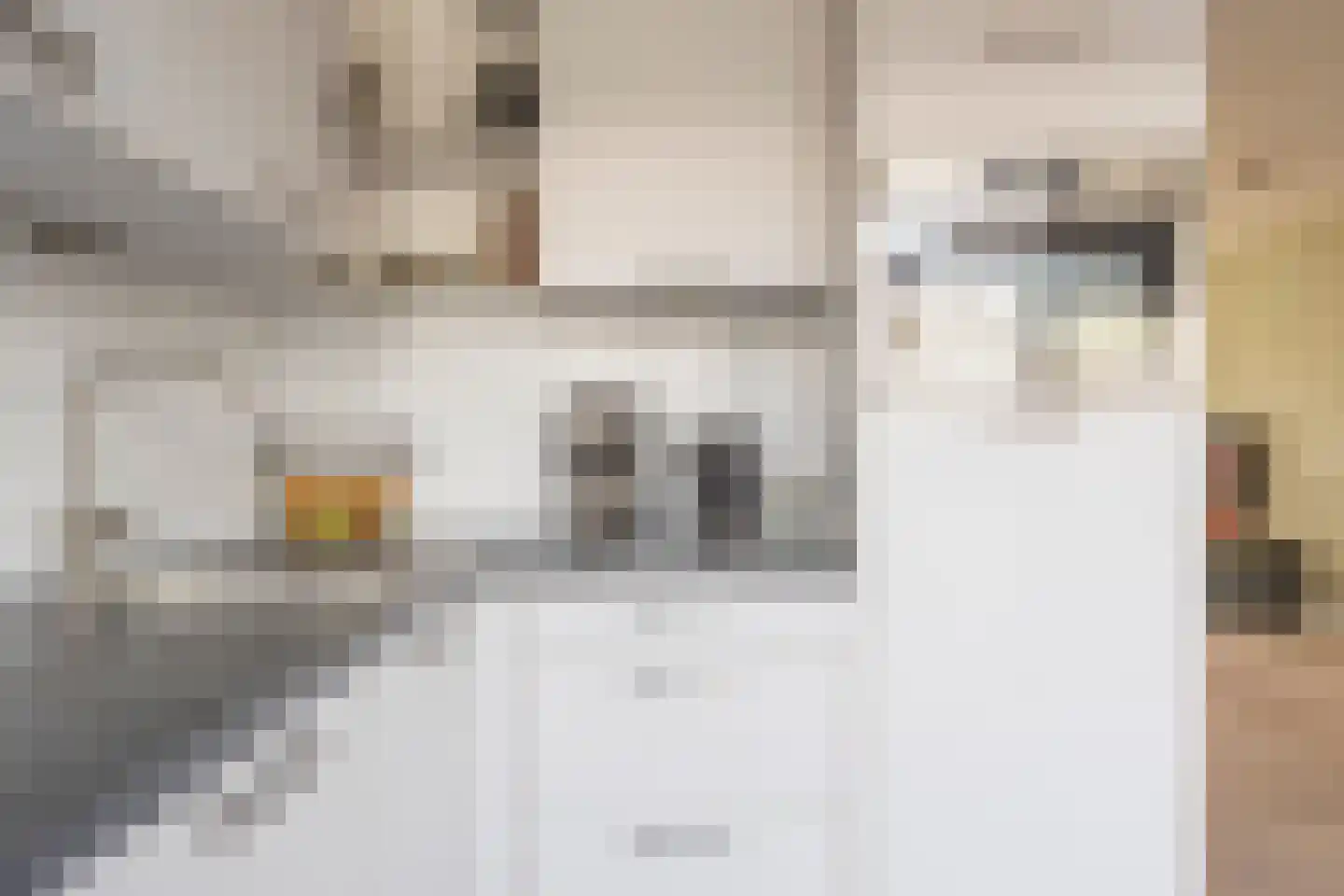 Van den Bergstraat 18 Leusden thumbnail 8