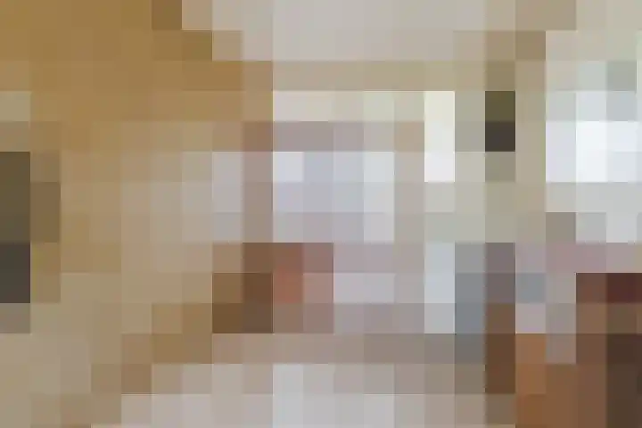 Van den Bergstraat 4 Leusden thumbnail 11
