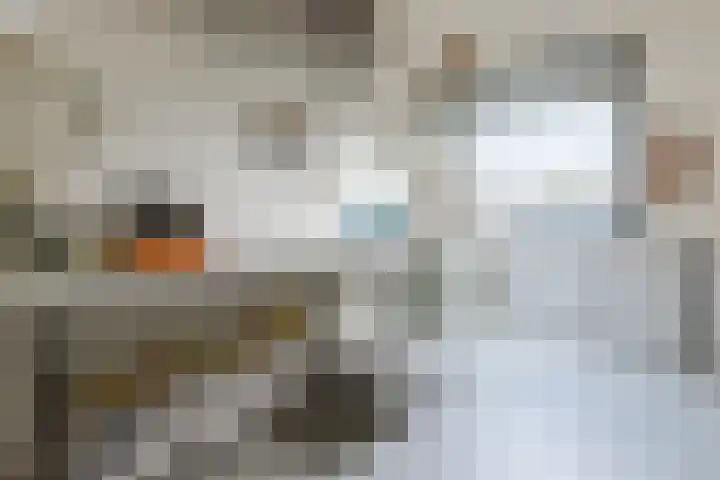 Van den Bergstraat 4 Leusden thumbnail 24
