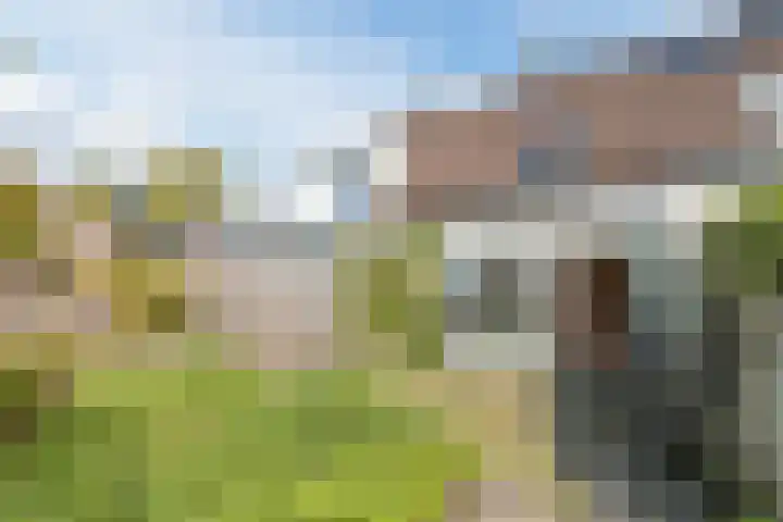 Van den Bergstraat 4 Leusden thumbnail 26