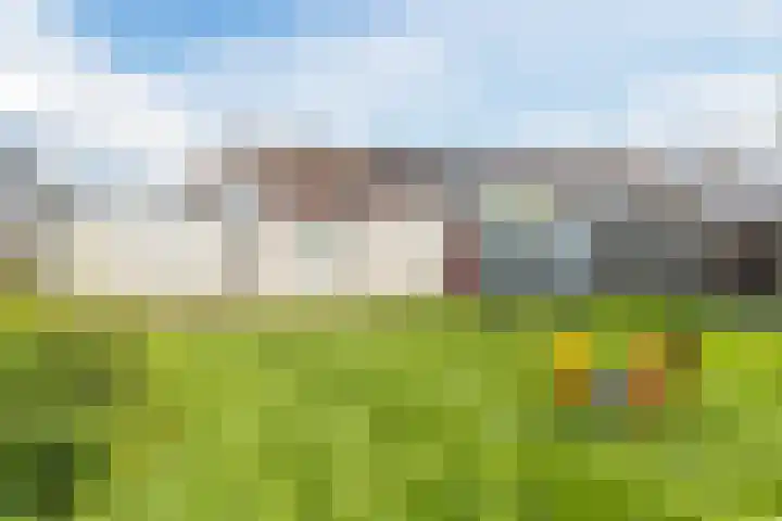 Van den Bergstraat 4 Leusden thumbnail 4