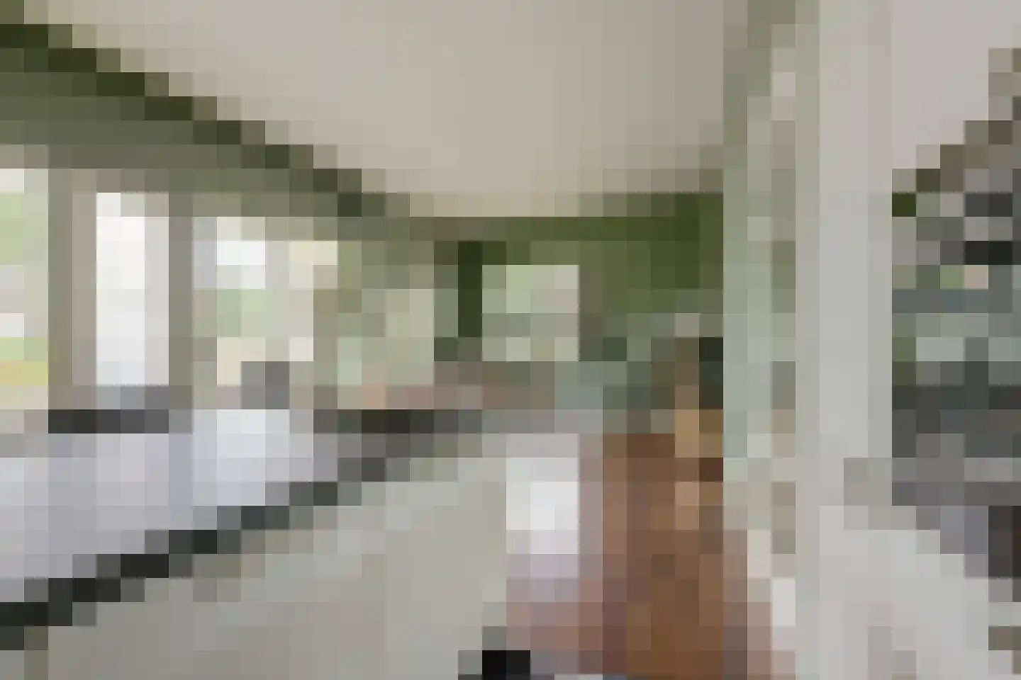 van den Binckhorststraat 2 's-Gravenzande thumbnail 10
