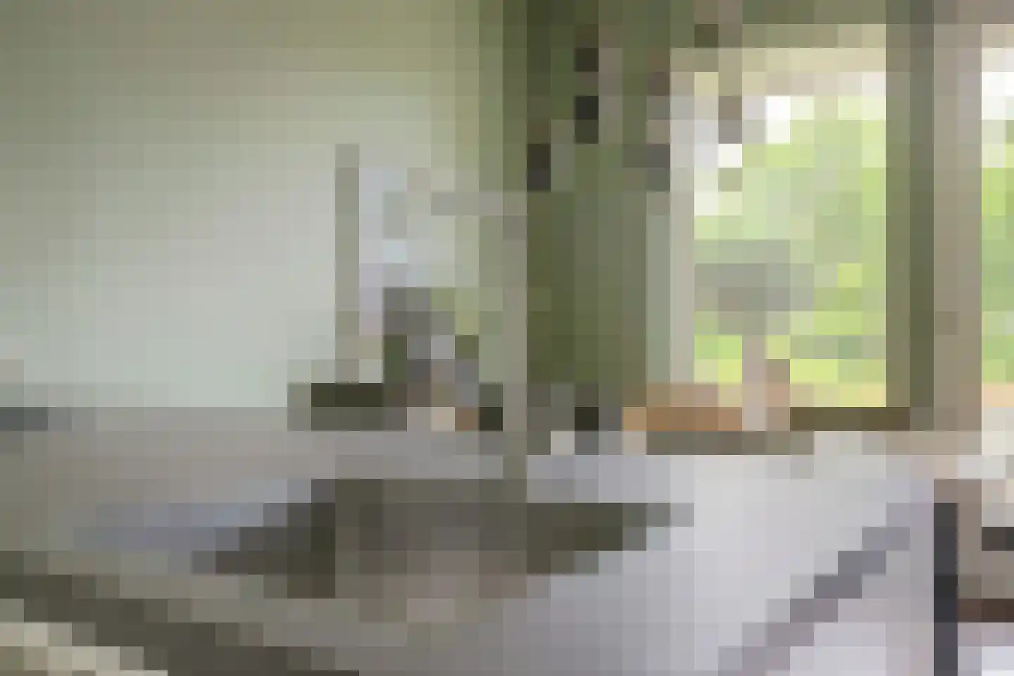 van den Binckhorststraat 2 's-Gravenzande thumbnail 11