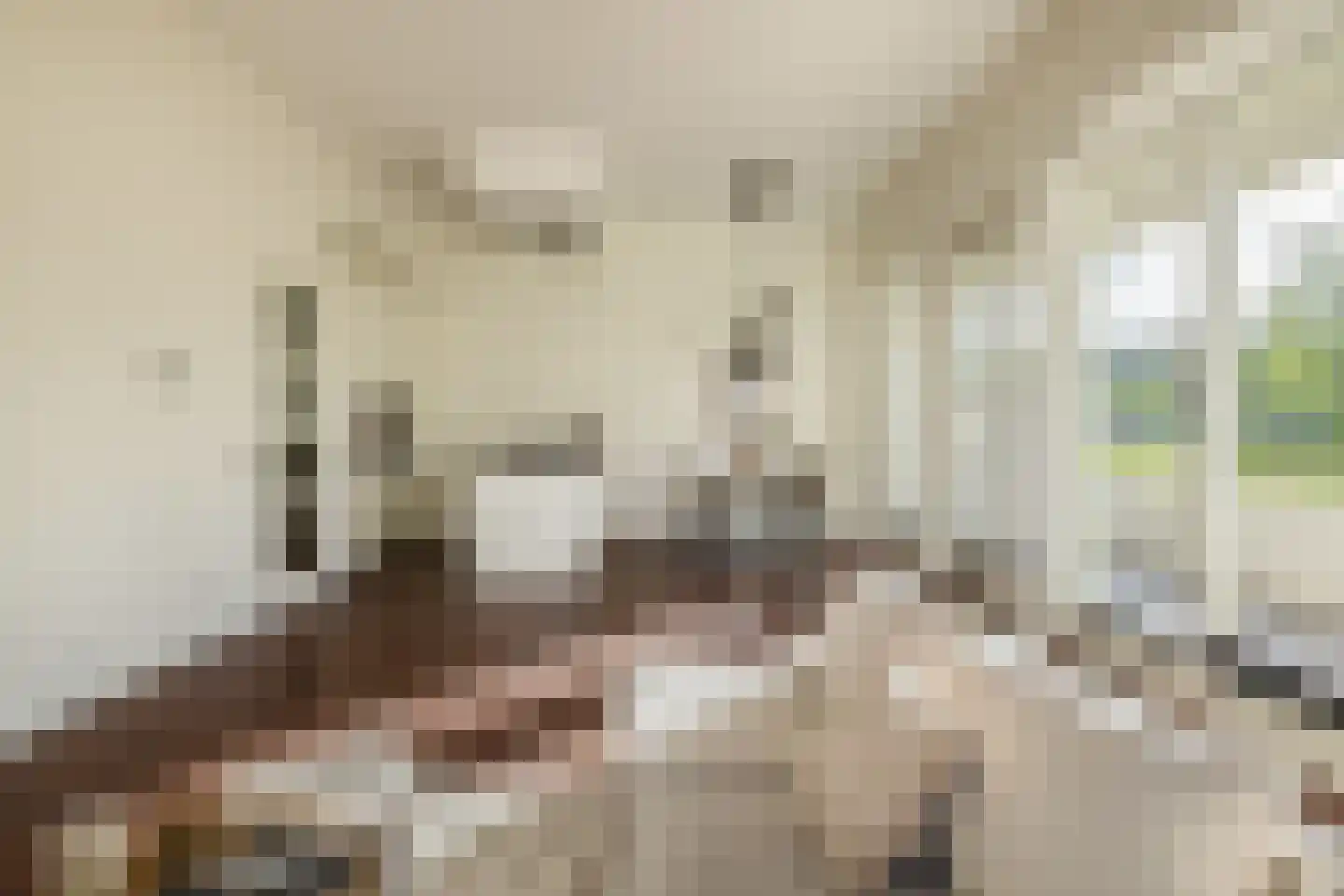 van den Binckhorststraat 2 's-Gravenzande thumbnail 12