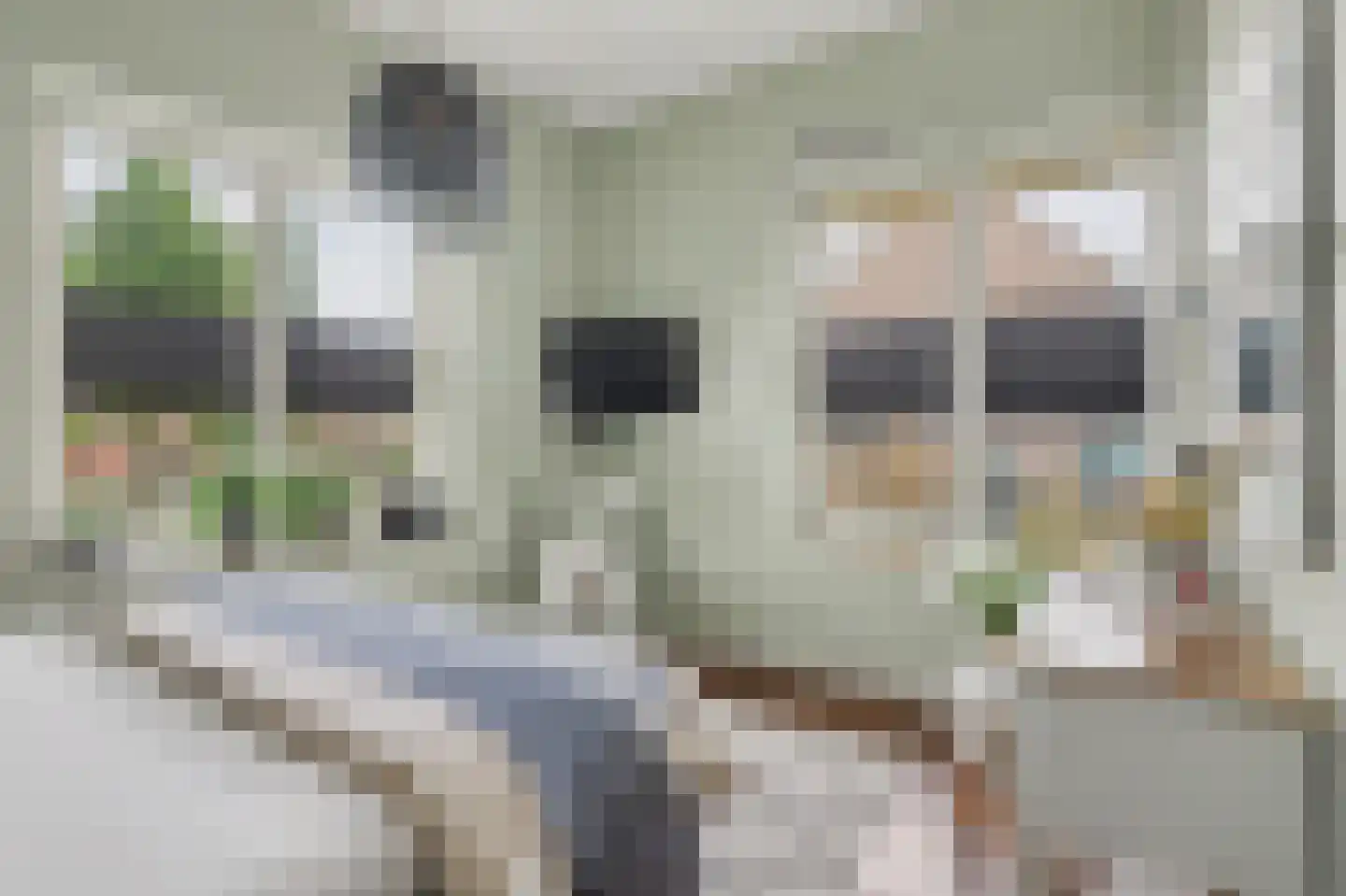 van den Binckhorststraat 2 's-Gravenzande thumbnail 13