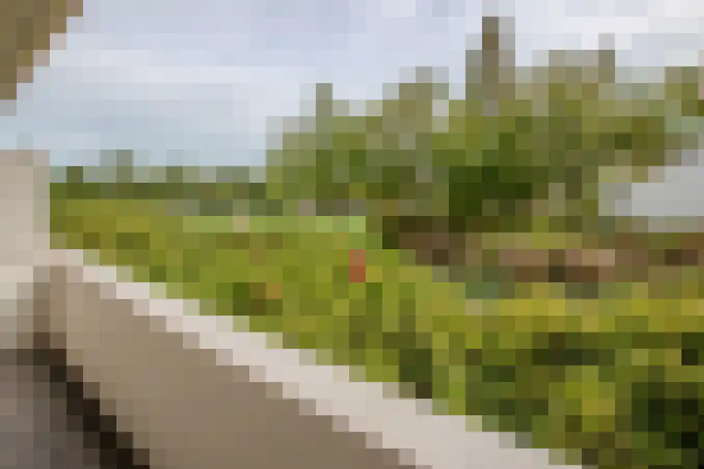 van den Binckhorststraat 2 's-Gravenzande thumbnail 15