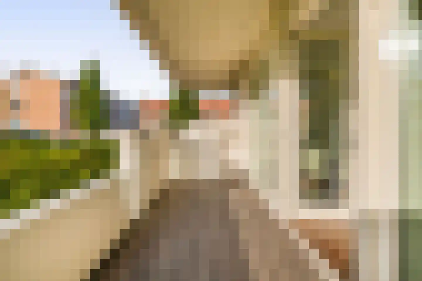 van den Binckhorststraat 2 's-Gravenzande thumbnail 16