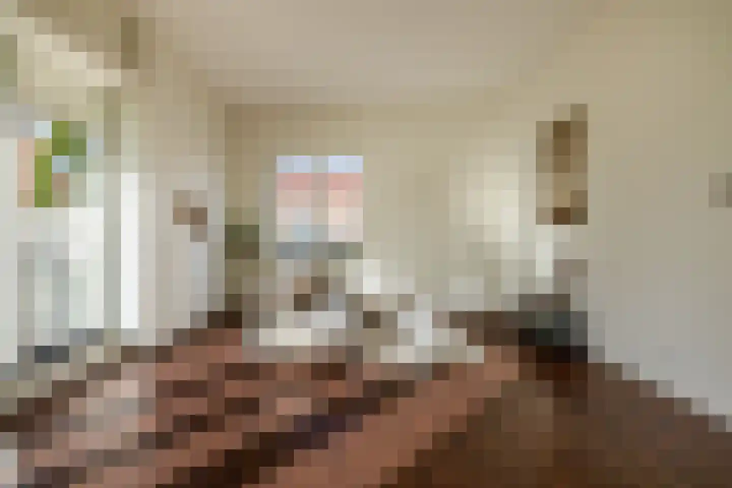 van den Binckhorststraat 2 's-Gravenzande thumbnail 17