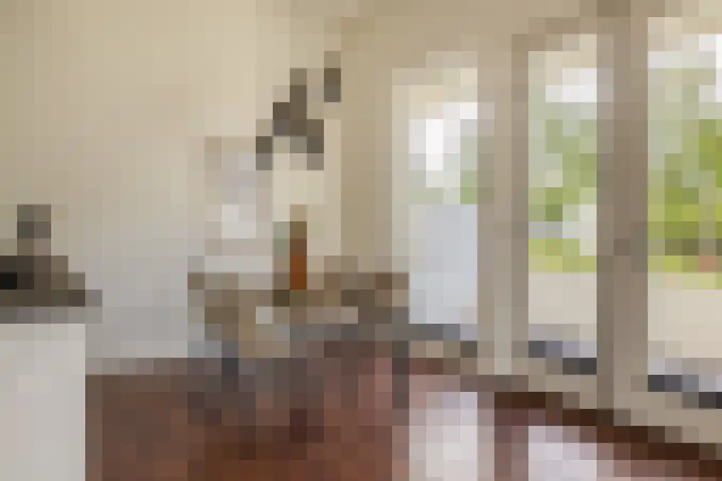 van den Binckhorststraat 2 's-Gravenzande thumbnail 19