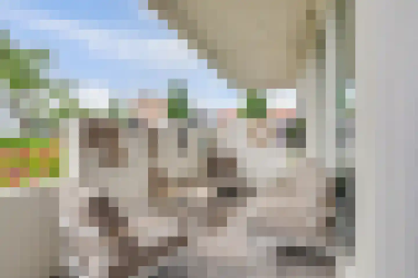van den Binckhorststraat 2 's-Gravenzande thumbnail 19