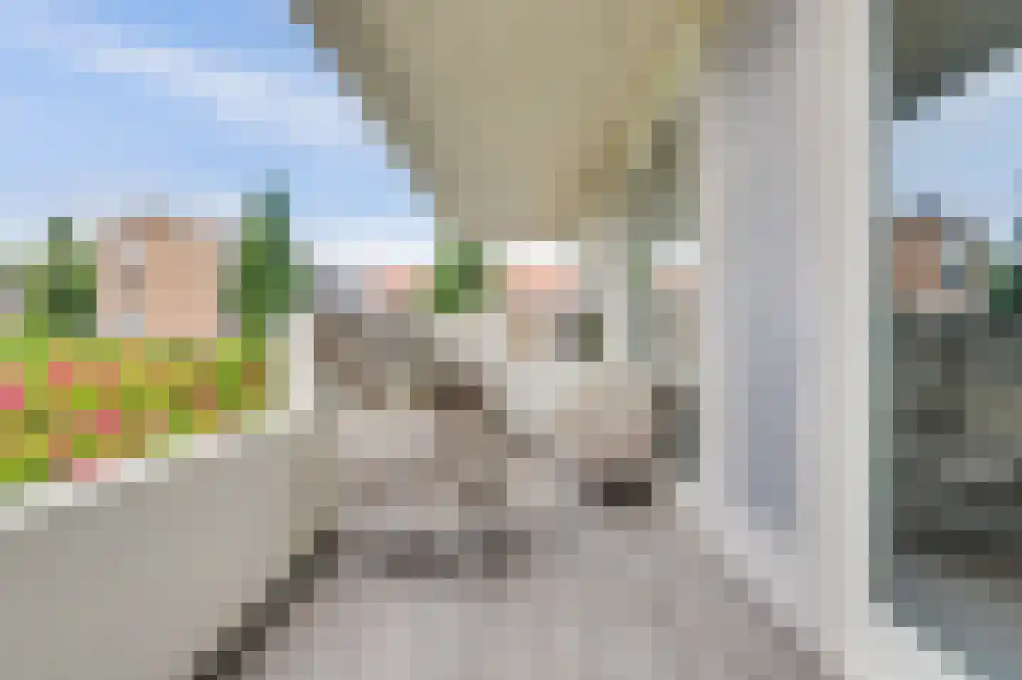 van den Binckhorststraat 2 's-Gravenzande thumbnail 20