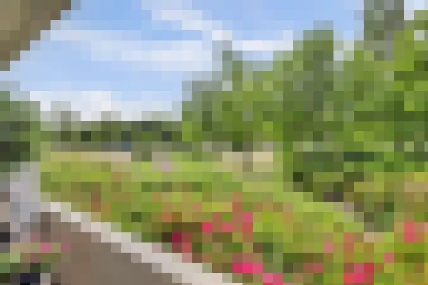 van den Binckhorststraat 2 's-Gravenzande thumbnail 22