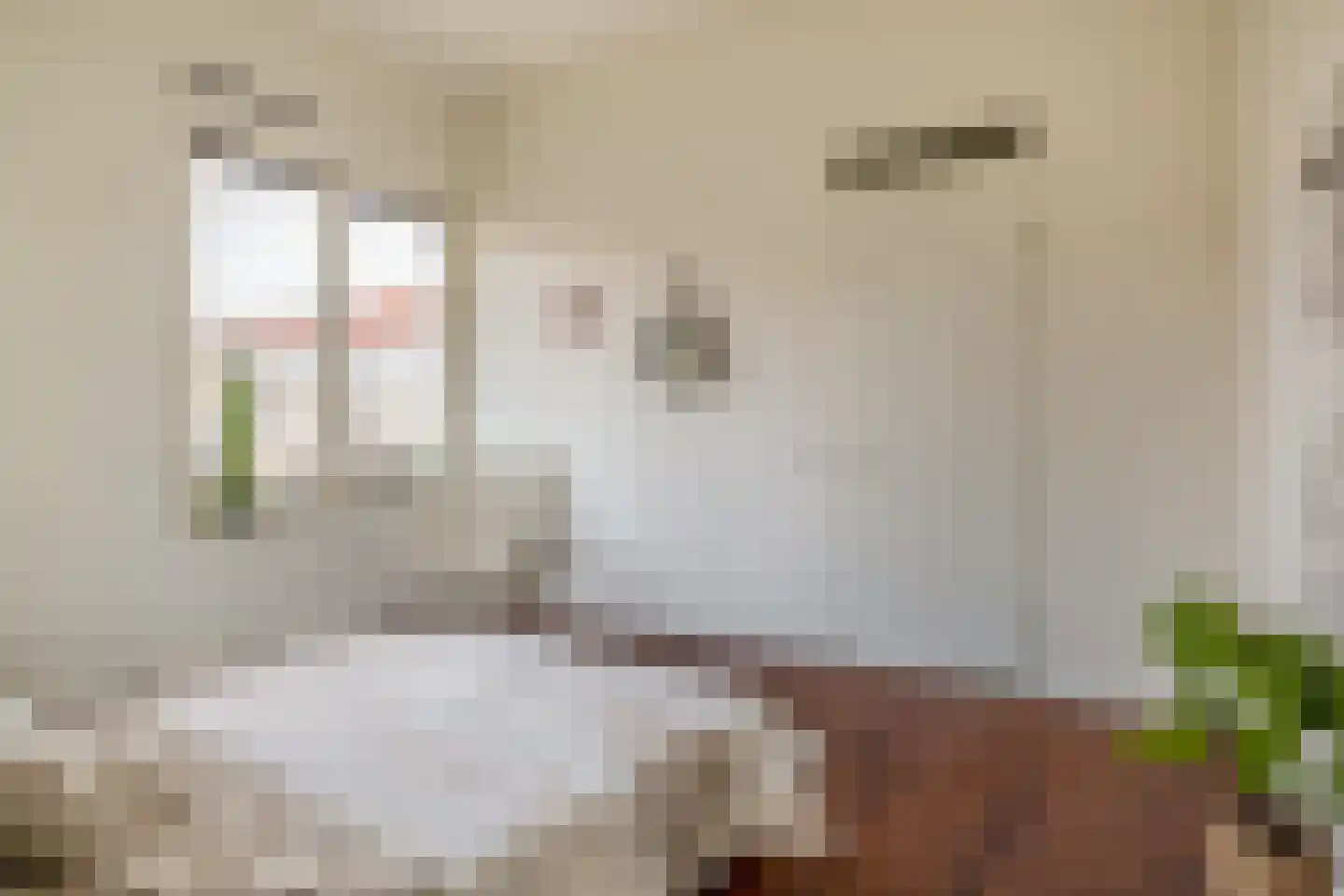 van den Binckhorststraat 2 's-Gravenzande thumbnail 22