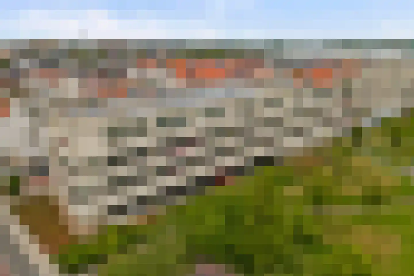 van den Binckhorststraat 2 's-Gravenzande thumbnail 31
