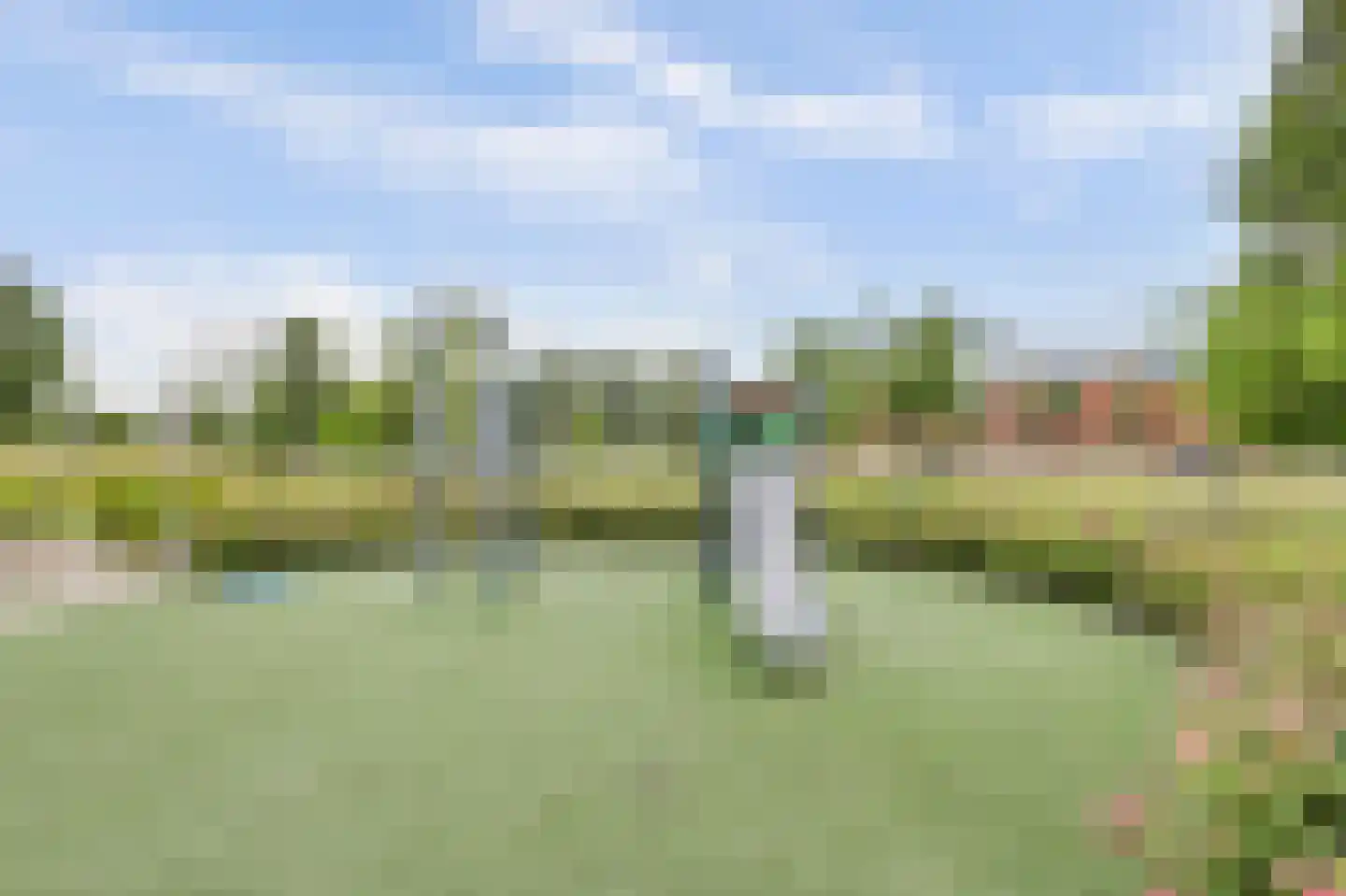 van den Binckhorststraat 2 's-Gravenzande thumbnail 34