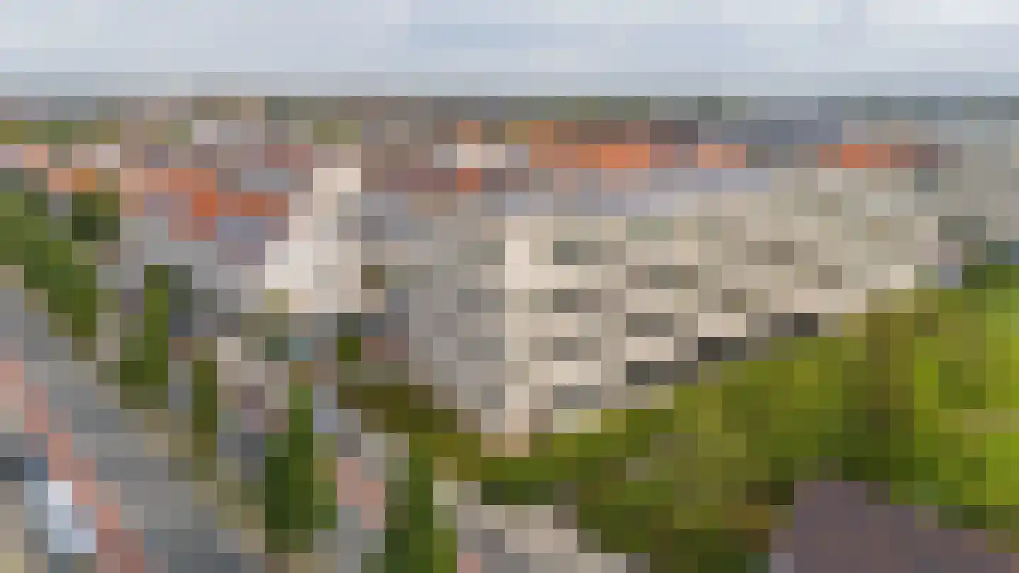van den Binckhorststraat 2 's-Gravenzande thumbnail 36