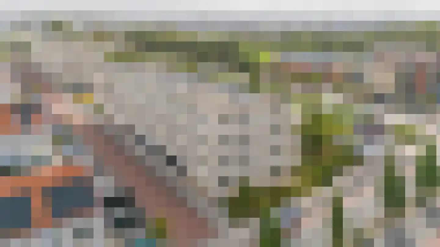 van den Binckhorststraat 2 's-Gravenzande thumbnail 37